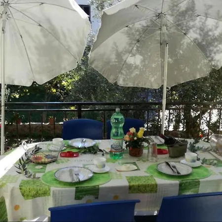 Guest house Apertments Jenny For Max 8 Pax In