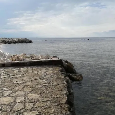 Apertments Jenny For Max 8 Pax In Porec